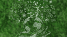 Sustentabilidad