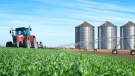 Seguridad alimentaria