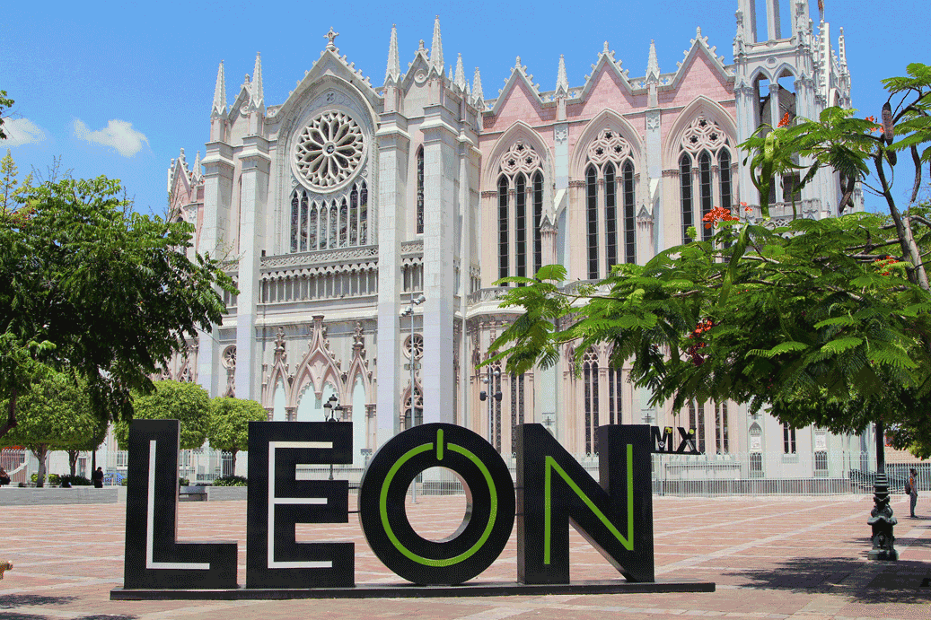 León (imagen de cortesía).