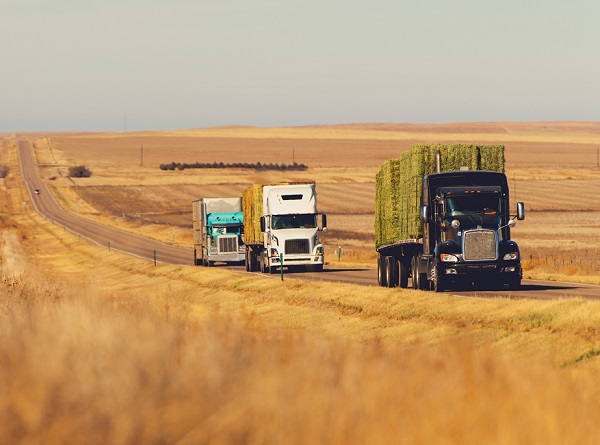 Aumentan factores de riesgo para transportistas