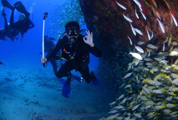 Buceo en Playa del Carmen: todo lo que debes saber