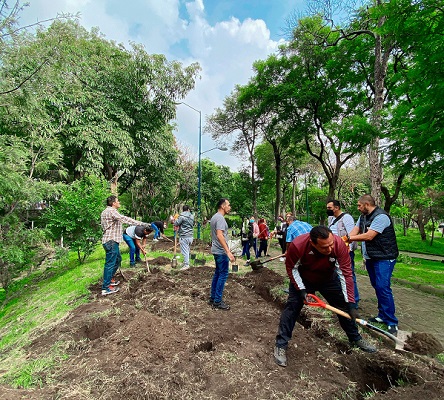   Bupa México dona a 5 bosques urbanos con su programa “Healthy Cities”