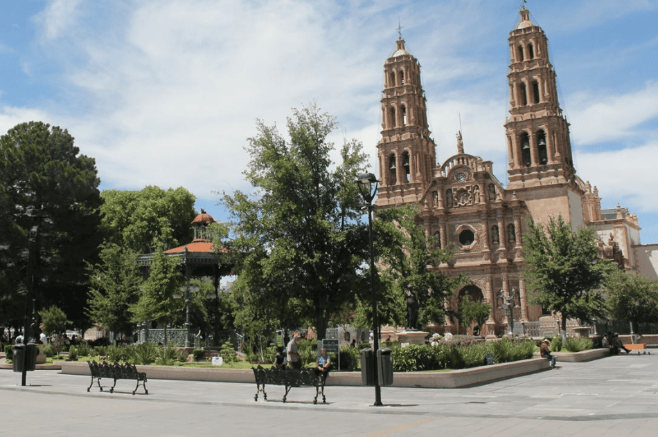 Chihuahua (imagen de cortesía).