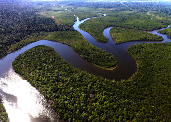 Natura anuncia su estrategia de transición climática para garantizar que la empresa alcance