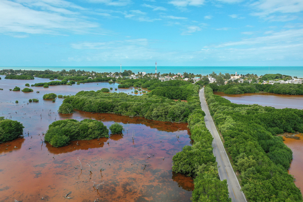 Foto del puerto de Sisal 