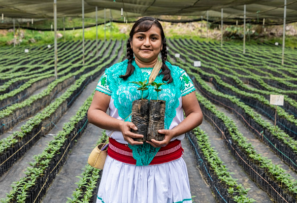 En colaboración con la Universidad Autónoma Chapingo, la compañía financiará la instalación de un laboratorio para analizar los nutrientes del suelo