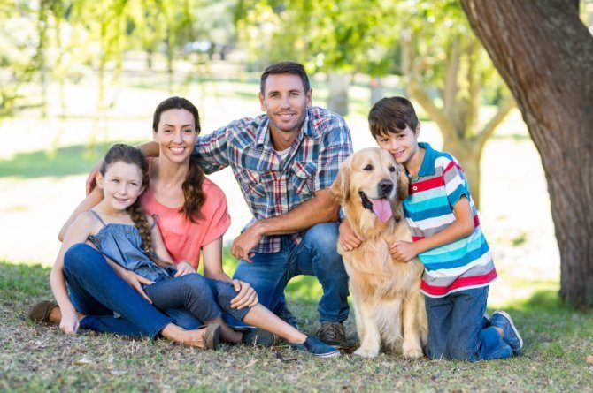 Algunos puntos sobre la familia mexicana