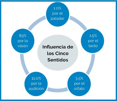 cinco sentidos experiencia de compra