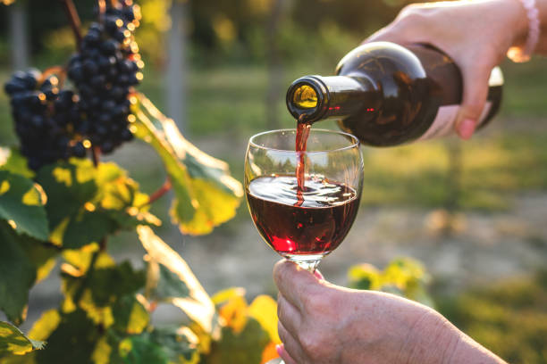 CUNA DE TIERRA obtiene Gran Bacchus de Oro