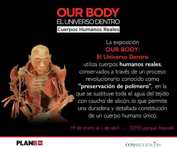 Tras haberse presentado en más de 200 ciudades alrededor del mundo, Producciones PlanBmx trae a la CDMX  “OUR BODY,  El Universo dentro”,  una exhibición científica y educativa