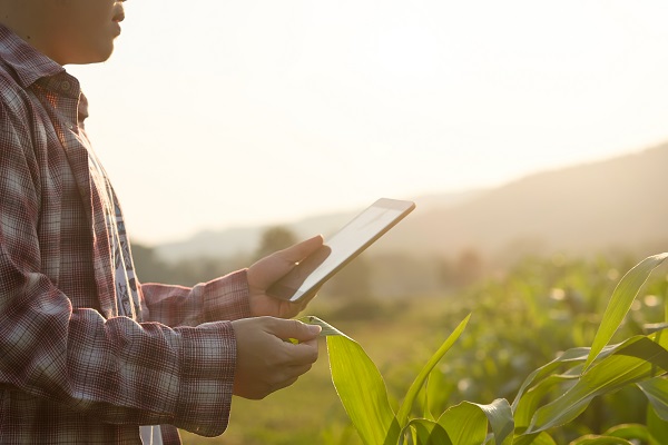 digitalizaciondelcampo