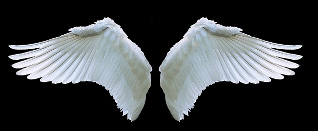 Wing