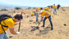 Más de 500 voluntarios de EY GDS Mexico impactan positivamente 
