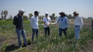 Convocan a emprendedores a transformar el futuro del agro en México