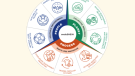 Informe de Sostenibilidad e Impacto Social 2024 de SHEIN