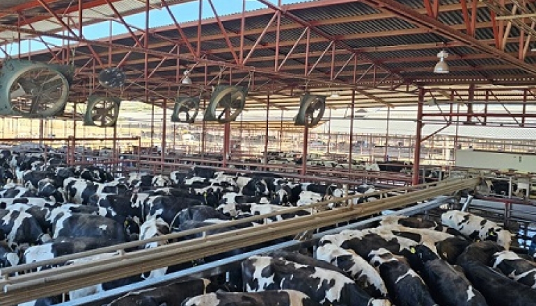  Hecho en México: Producción lechera y seguridad alimentaria