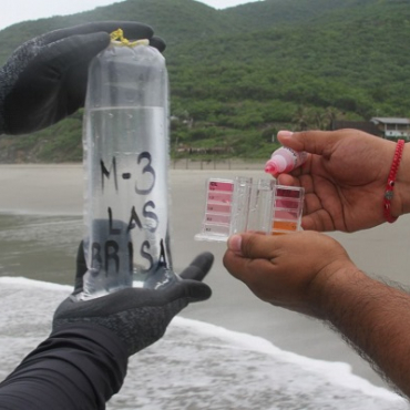 Playas del país son aptas para uso recreativo durante este verano: Cofepris