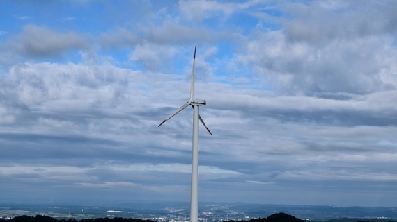 Ecologia, medioambiente, pepsi