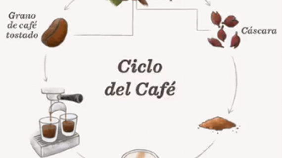  Una vez al año, los cafetos (plantas de café) producen cerezas de café, y éstas son la base de la nueva bebida Starbucks Espresso Cáscara Latte.