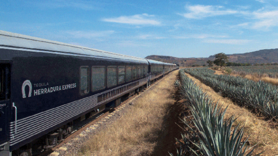 Tequila Herradura Express