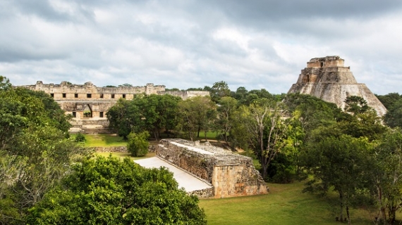 ¿Qué se espera del Tren Maya?