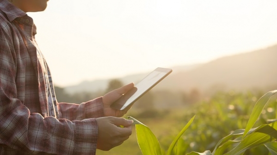 digitalizaciondelcampo