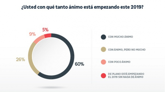     Salud, seguridad y economía, las preocupaciones de los mexicanos en 2019