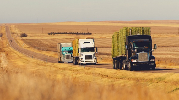 Aumentan factores de riesgo para transportistas