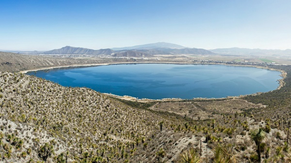 por amor a méxico Premiarán proyectos para conservar biodiversidad en México