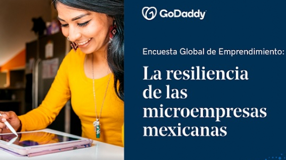 Encuesta Global de Emprendimiento 2020 