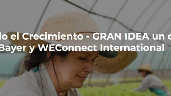 Bayer impulsa a las empresarias mexicanas en alianza con WEConnect International