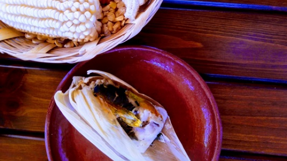 Cocineras tradicionales de Oaxaca comparten su experiencia para El Día de la Candelaria