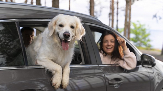  Tips para viajar con tu mejor amigo y celebrar su día 