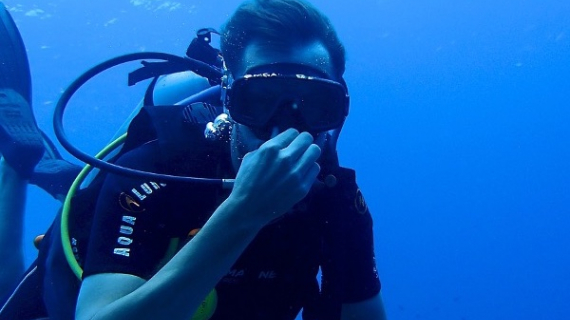 Buceo en Playa del Carmen: todo lo que debes saber