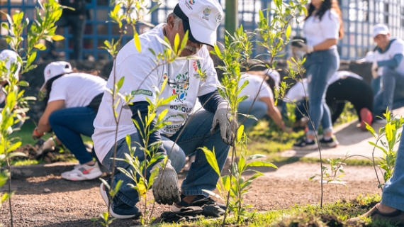 Inicia reforestación 2024 en Xochimilco: más de 1,800 árboles plantados