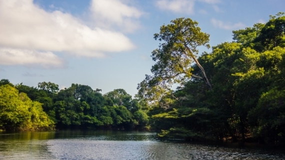 Natura está entre las tres empresas más sustentables del planeta, según GlobeScan