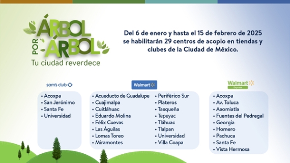 Reciclar el árbol de Navidad y ser más responsable y sostenible