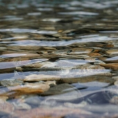 Water Positive: una iniciativa pionera en la gestión responsable del agua