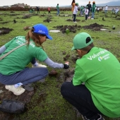 Reforestación en cinco estados: Iberdrola México contribuye al cuidado del clima