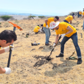 Más de 500 voluntarios de EY GDS Mexico impactan positivamente 