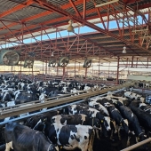  Hecho en México: Producción lechera y seguridad alimentaria