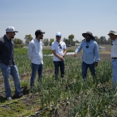 Convocan a emprendedores a transformar el futuro del agro en México