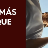 Scotiabank Scotiabank